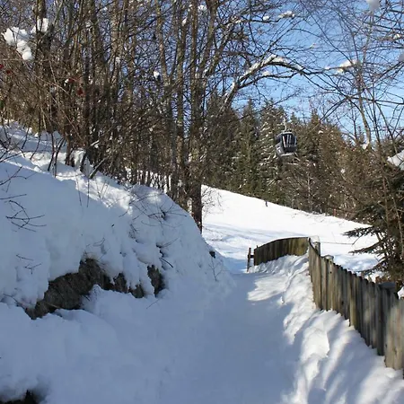 Living Am Achterjet Apartament Flachau